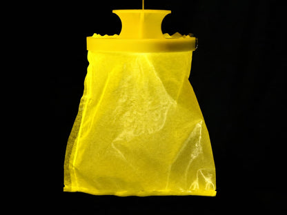 Self-luminous pest trap